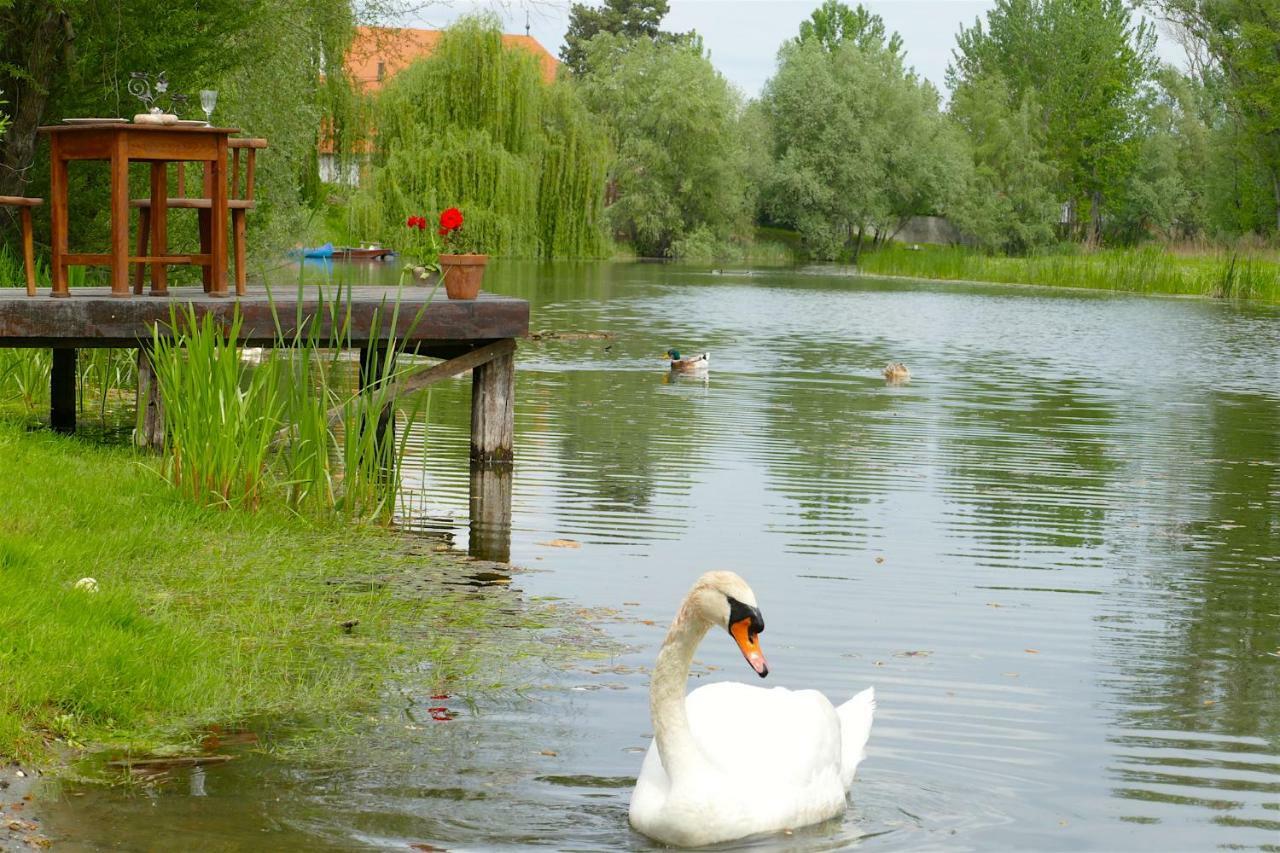 Fisherman Kopacevo Exterior photo